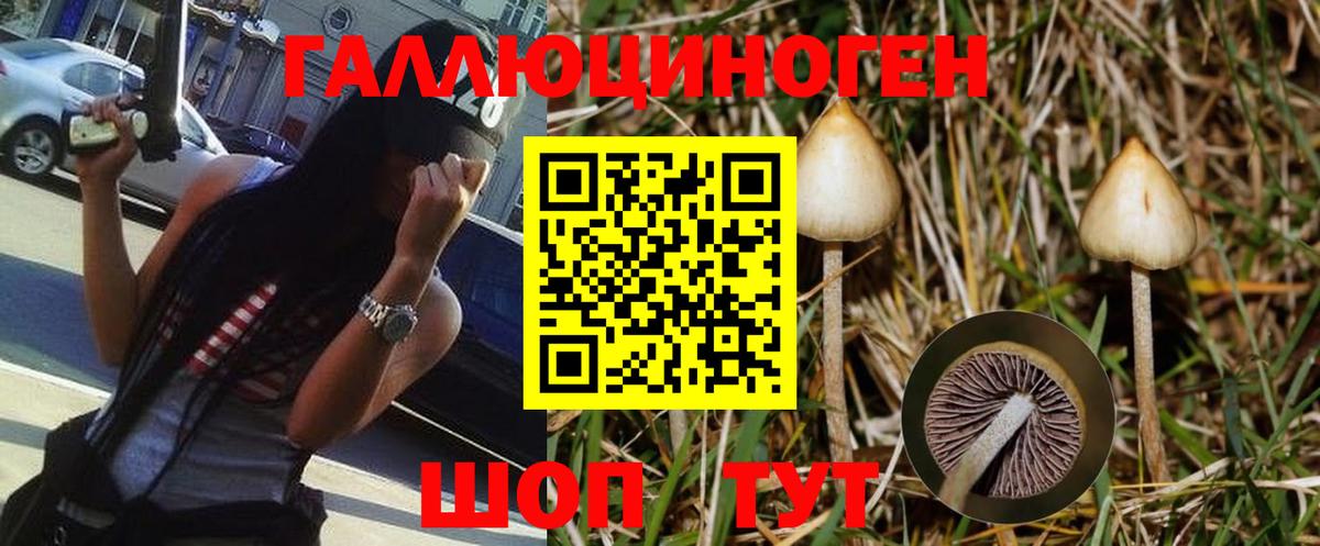 Галлюциногенные грибы MAGIC MUSHROOMS Коломна