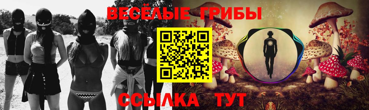 Псилоцибиновые грибы прущие грибы  Псилоцибиновые грибы мухоморы  Коломна  Вход с VPN 